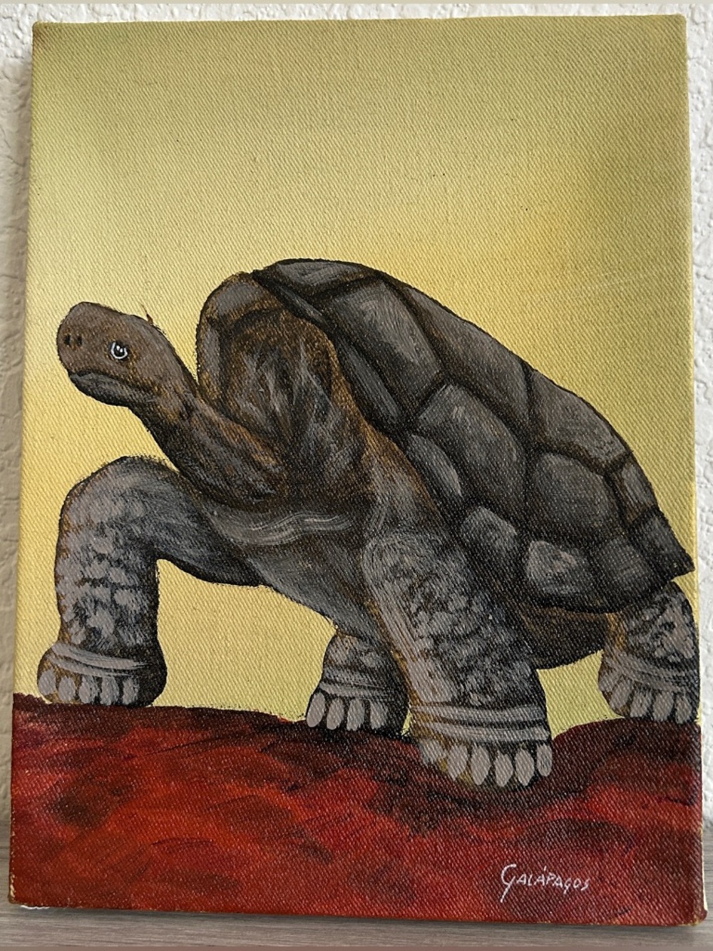 Galápagos Tortoise Acrylic Painting